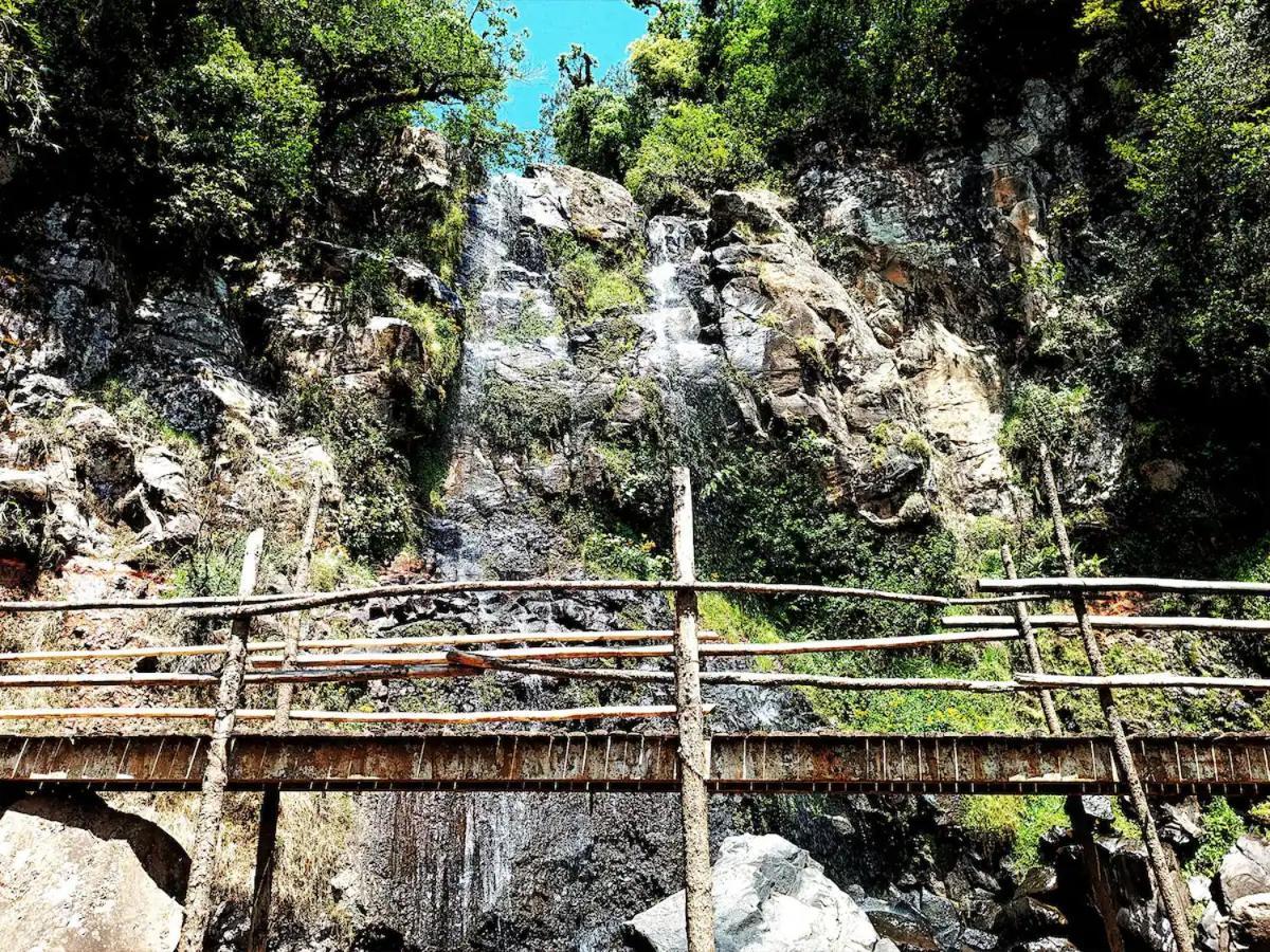 Cabana Para Pareja En El Bosque Ib Acaxochitlán 外观 照片