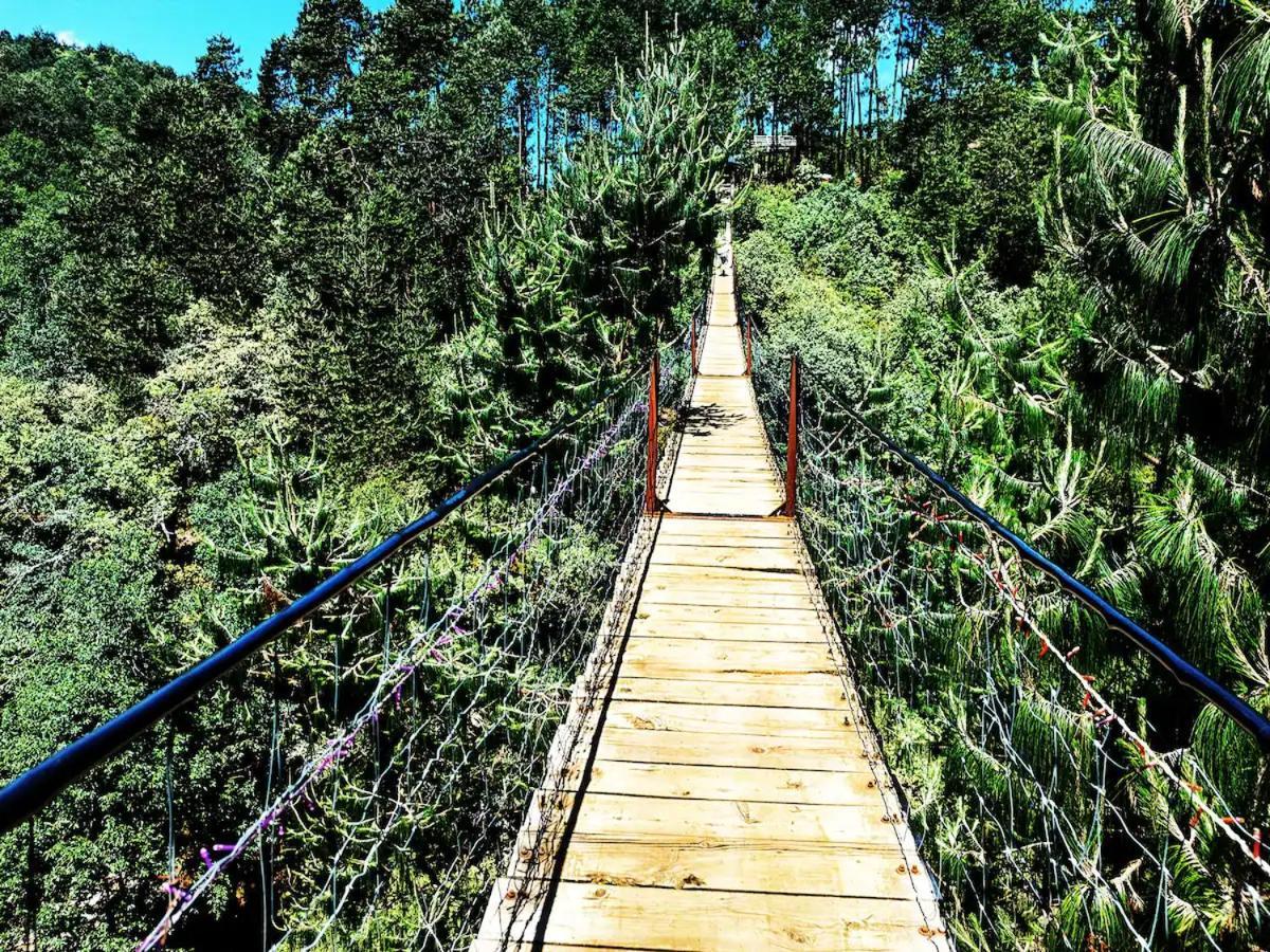 Cabana Para Pareja En El Bosque Ib Acaxochitlán 外观 照片