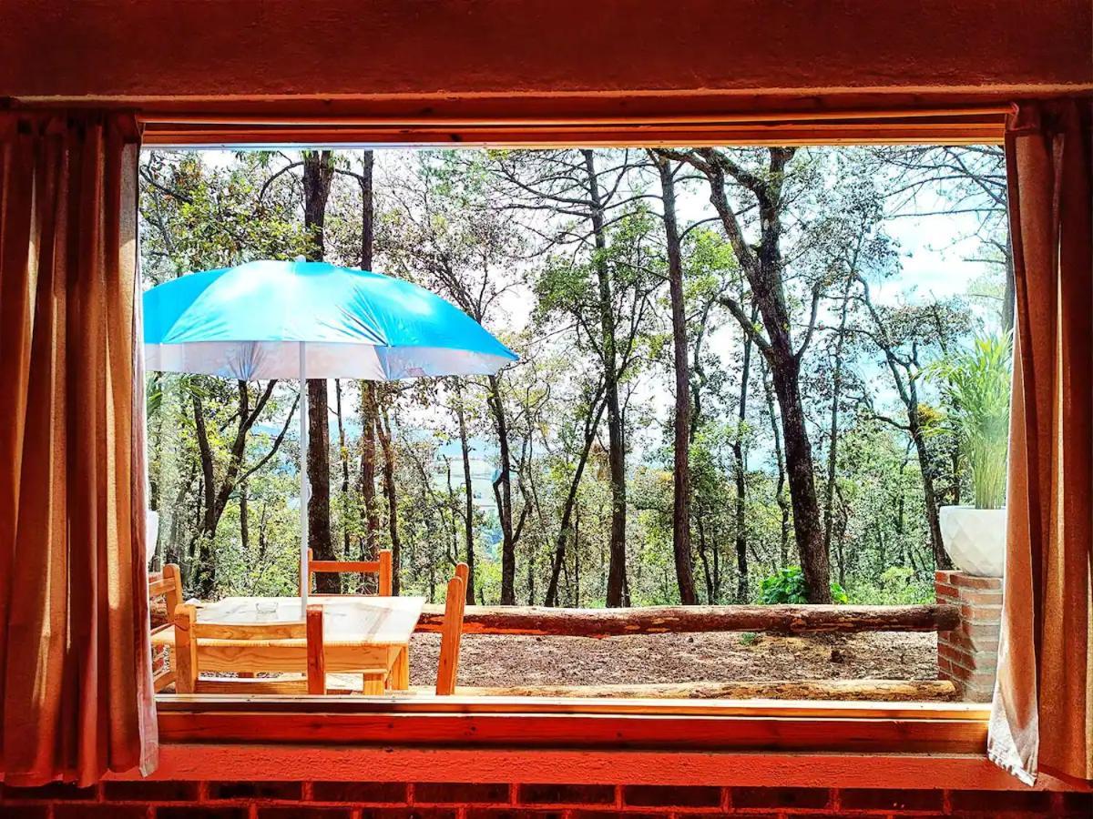 Cabana Para Pareja En El Bosque Ib Acaxochitlán 外观 照片